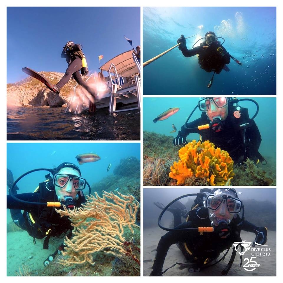 Scuba diving Lagos - Best Boat Trips